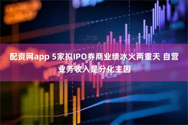 配资网app 5家拟IPO券商业绩冰火两重天 自营业务收入是分化主因